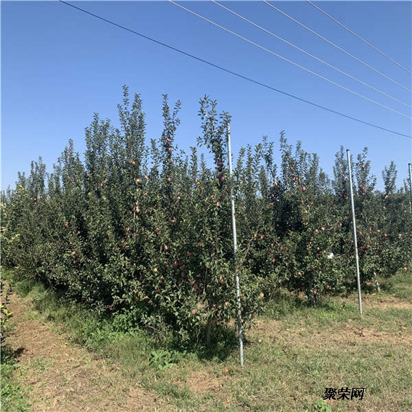 AG亚娱集团官方