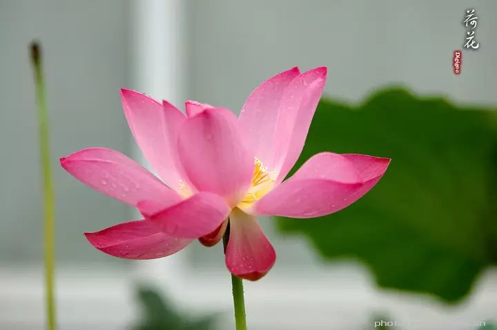 让哺乳期妈妈不再尴尬,智能母婴室落地仁济医院!【AG亚娱集团】(图2) AG亚娱集团