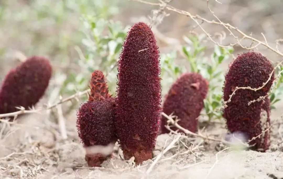 AG亚娱集团官方