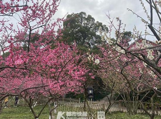 “AG亚娱集团”PSS 4000:面向工业4.0的最佳自动化系统(图2) AG亚娱集团官方