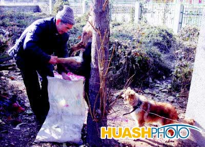 AG亚娱集团官方