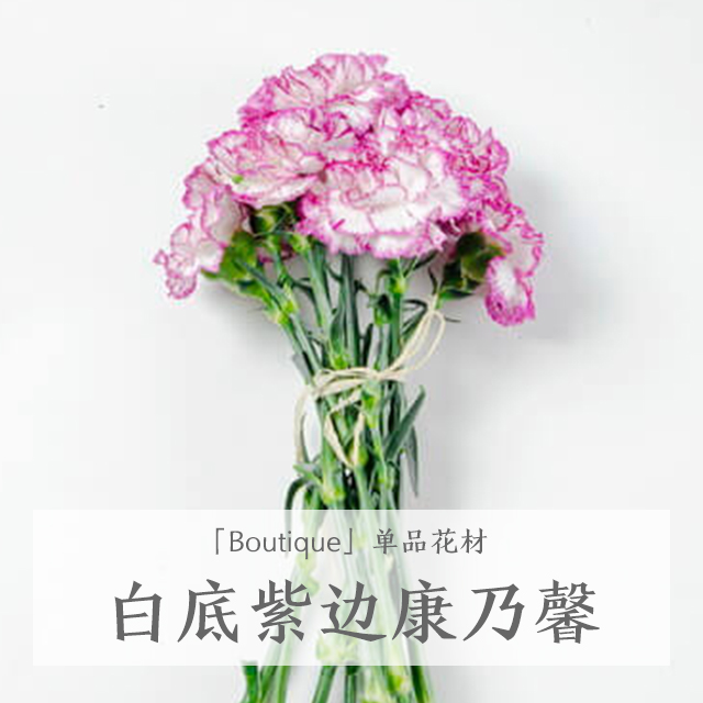 AG亚娱集团官方|新密市西大街红缨幼儿园:送课帮扶传真情交流碰撞促成长(图3) ag亚娱官网