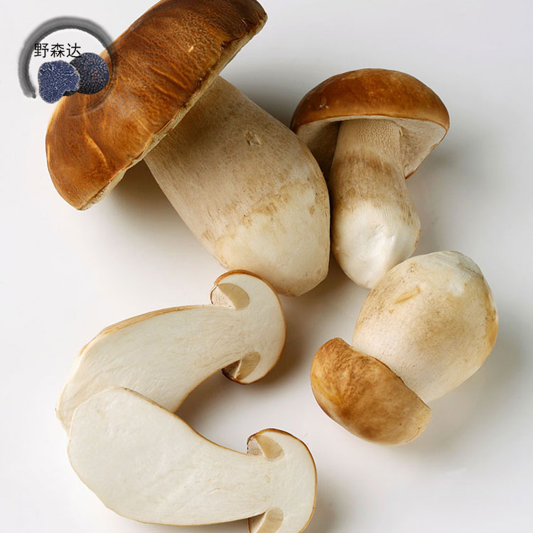 【ag亚娱官网】漯河市源汇区区直幼儿园开展春游活动(图2) AG亚娱集团