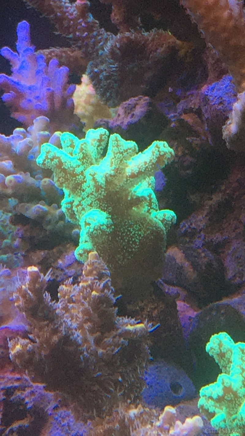 新密市实验幼儿园:做新时代好儿童梦想从这里扬帆起航‘AG亚娱集团’(图4) AG亚娱集团官方