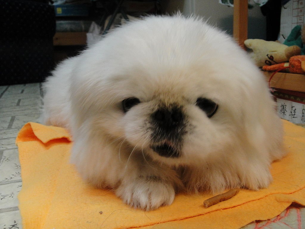 AG亚娱集团官方