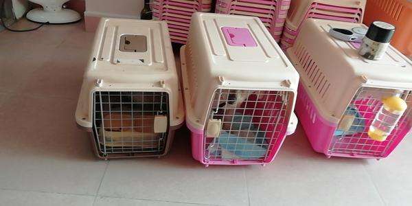 AG亚娱集团官方