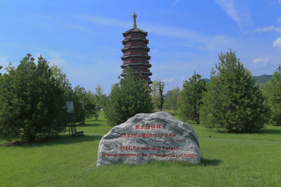 AG亚娱集团官方