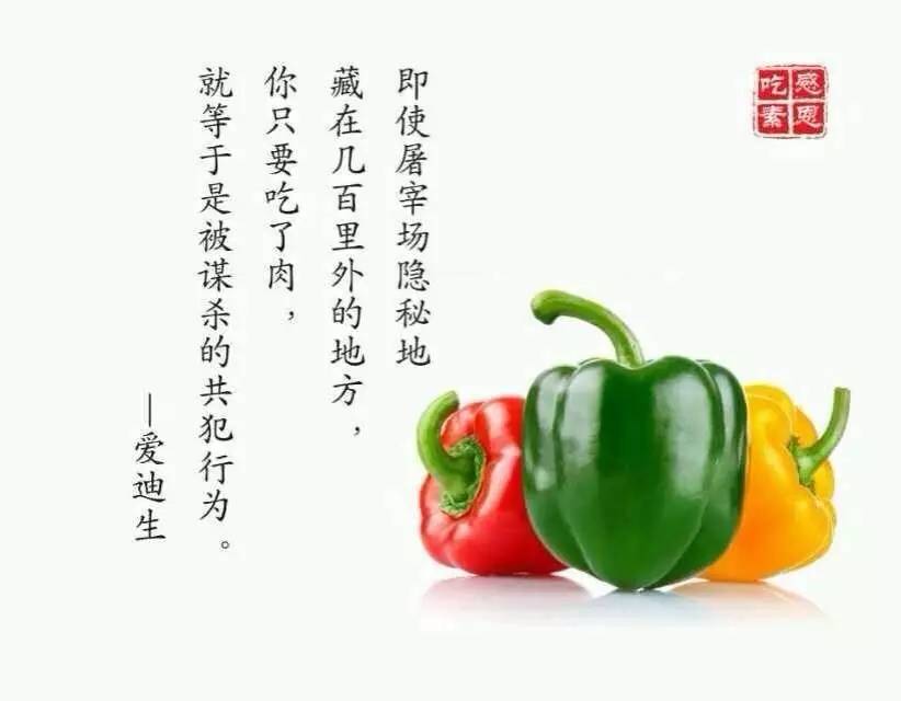 AG亚娱集团官方:草小西区steam课程实践探索:从一到无穷大(图4) AG亚娱集团官方