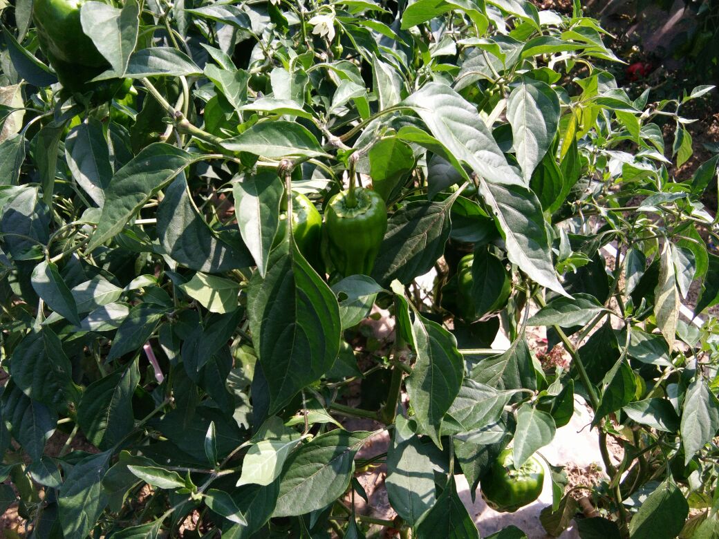 AG亚娱集团官方