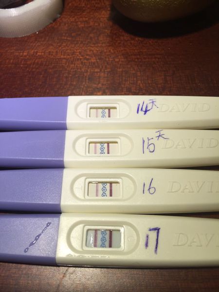 AG亚娱集团_“珠西行动”助力“江门制造”迈向中高端(图2) AG亚娱集团