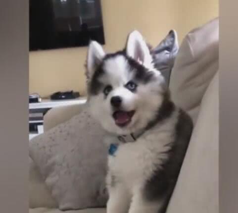 AG亚娱集团官方_2013杨浦区延吉幼儿园全面招生简章 2014参考(图2) AG亚娱集团