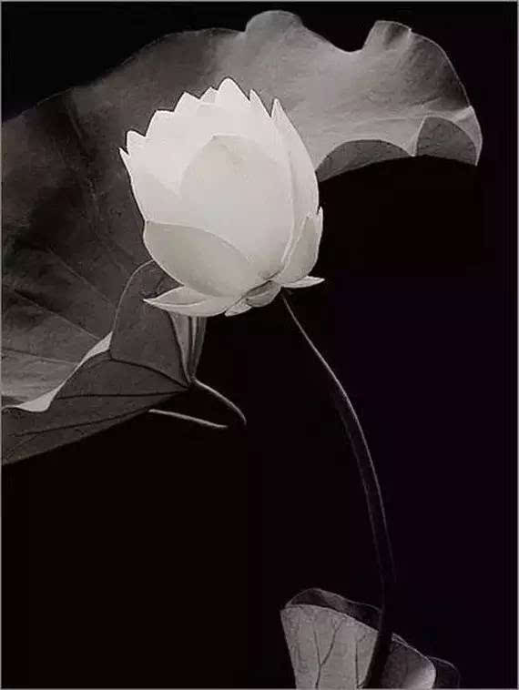 AG亚娱集团官方