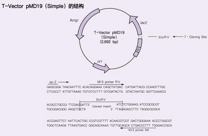 “AG亚娱集团”NASA开发“太空饮料”饮用后皱纹显著减少(图4) ag亚娱官网